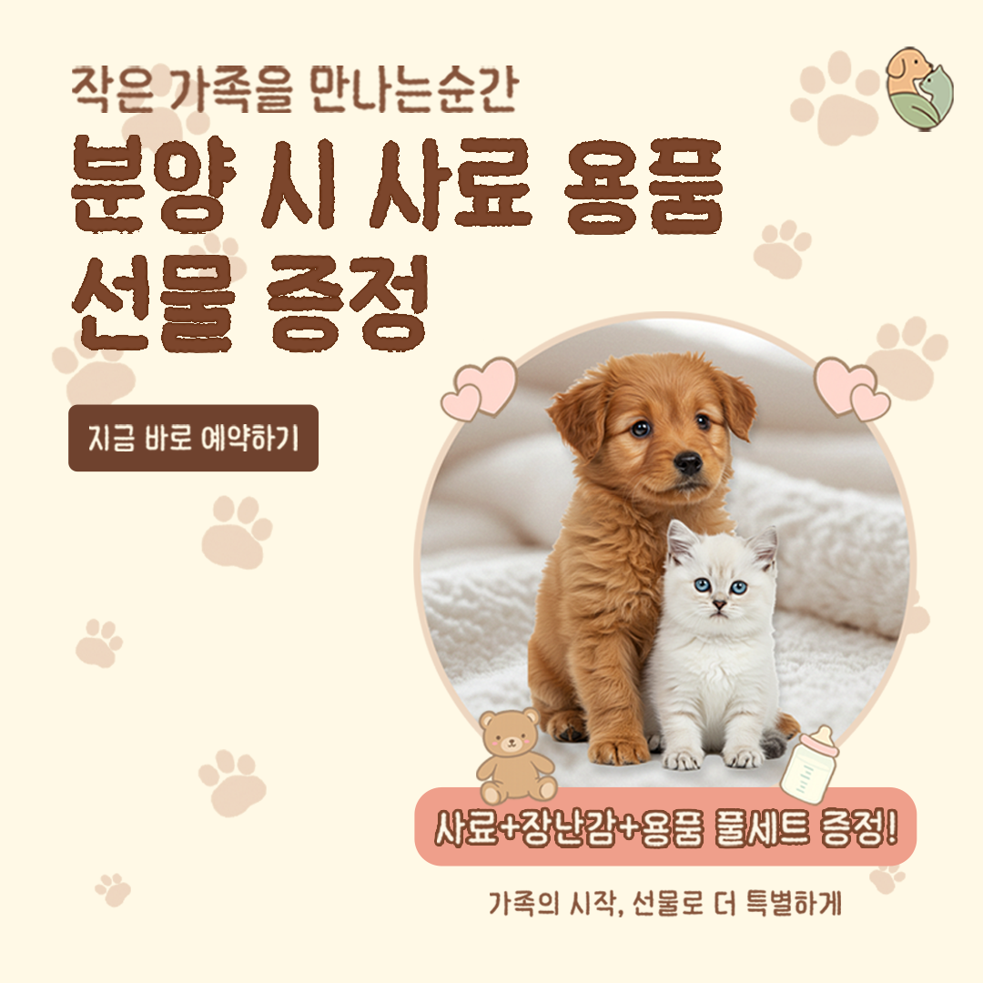 정사각형 이미지